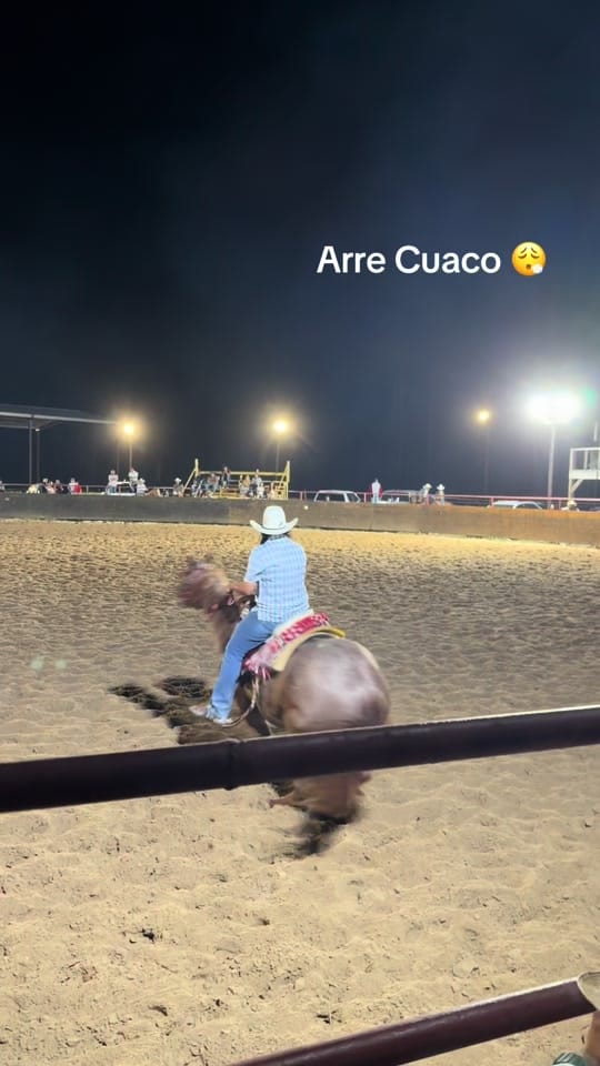 Post 7 by Aricelli Padilla on TikTok (video)