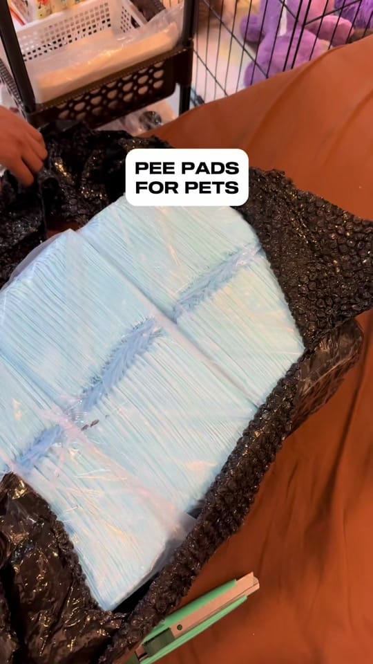 Post 9 by Sweetzu by Gigi Coco on TikTok (video)