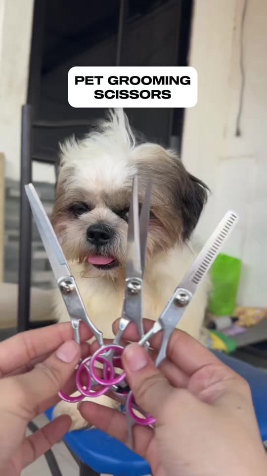Post 4 by Sweetzu by Gigi Coco on TikTok (video)