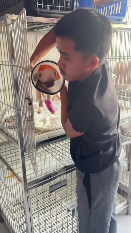 Post 1 by Sweetzu by Gigi Coco on TikTok (video)