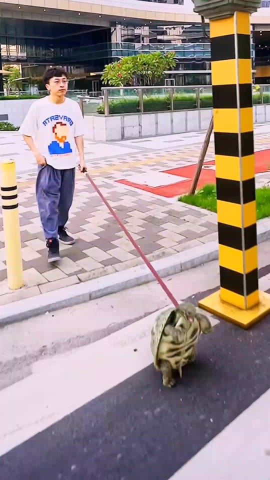 Post 10 by unitedState7 on TikTok (video)