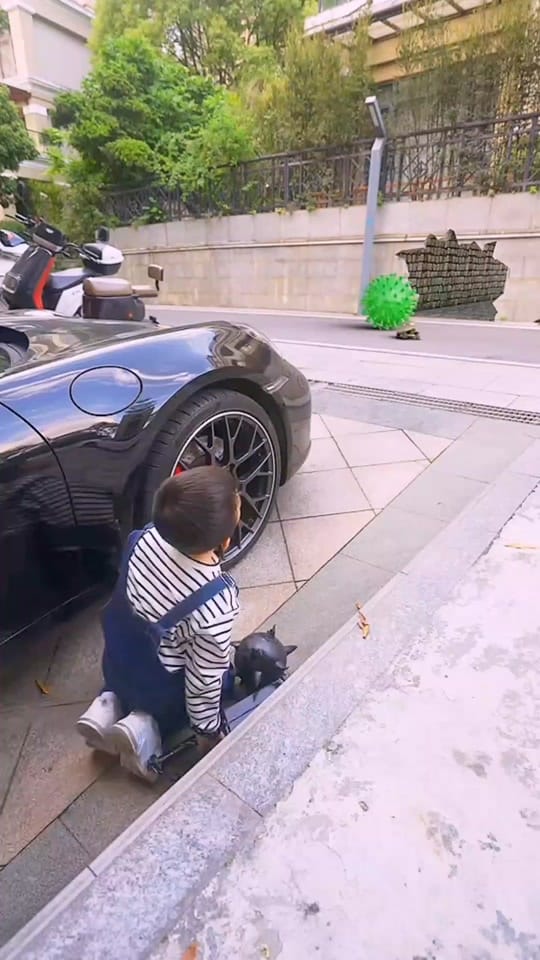 Post 5 by unitedState7 on TikTok (video)