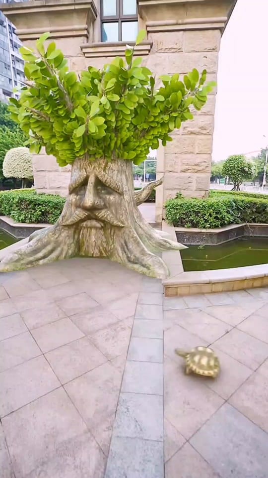Post 6 by unitedState7 on TikTok (video)