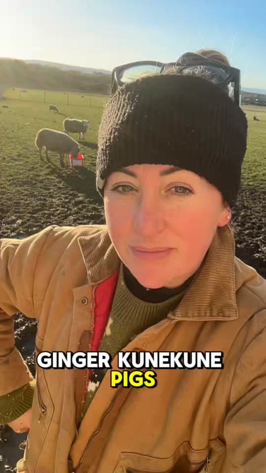 Post 9 by Robyn S on TikTok (video)