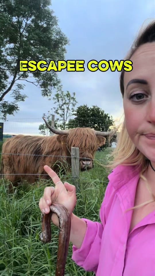 Post 7 by Robyn S on TikTok (video)