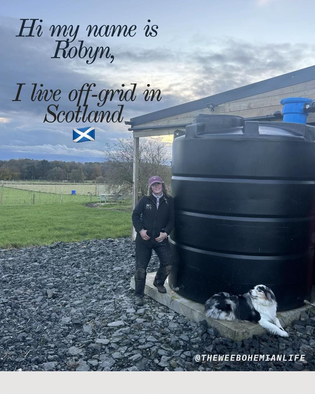 Post 8 by Robyn S on TikTok (video)