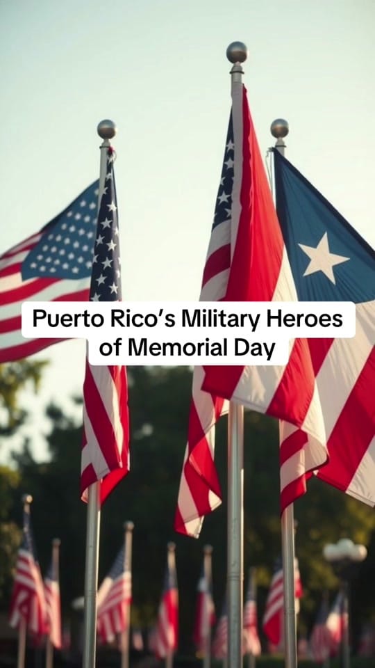 Post 2 by Puerto Rico vs the Narrative on TikTok (video)