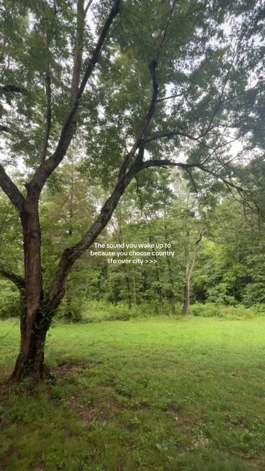 Post 5 by MAYRA HERNANDEZ on TikTok (video)