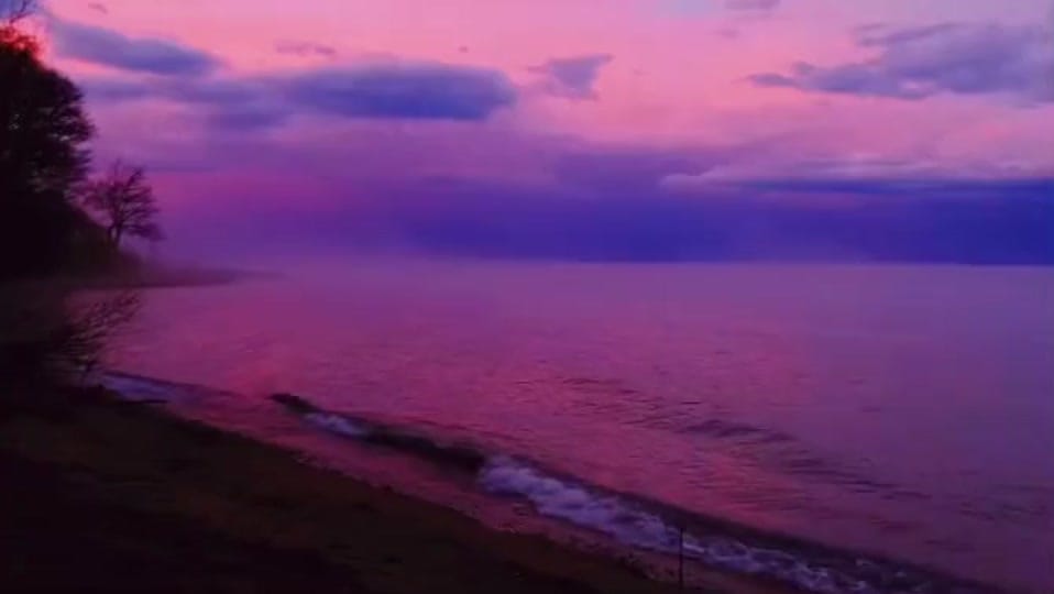 Post 1 by Danielle Q. 🖤 on TikTok (video)