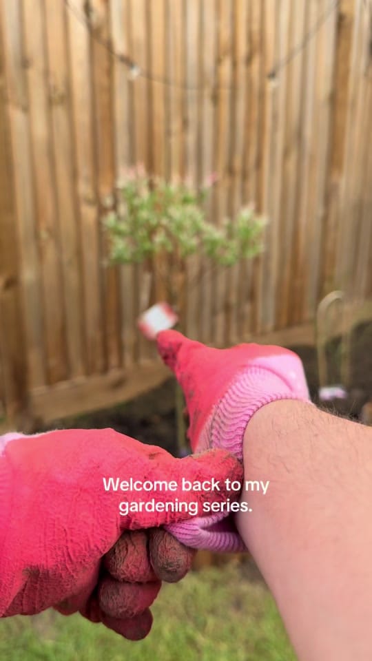 Post 7 by jem | colourful home on TikTok (video)