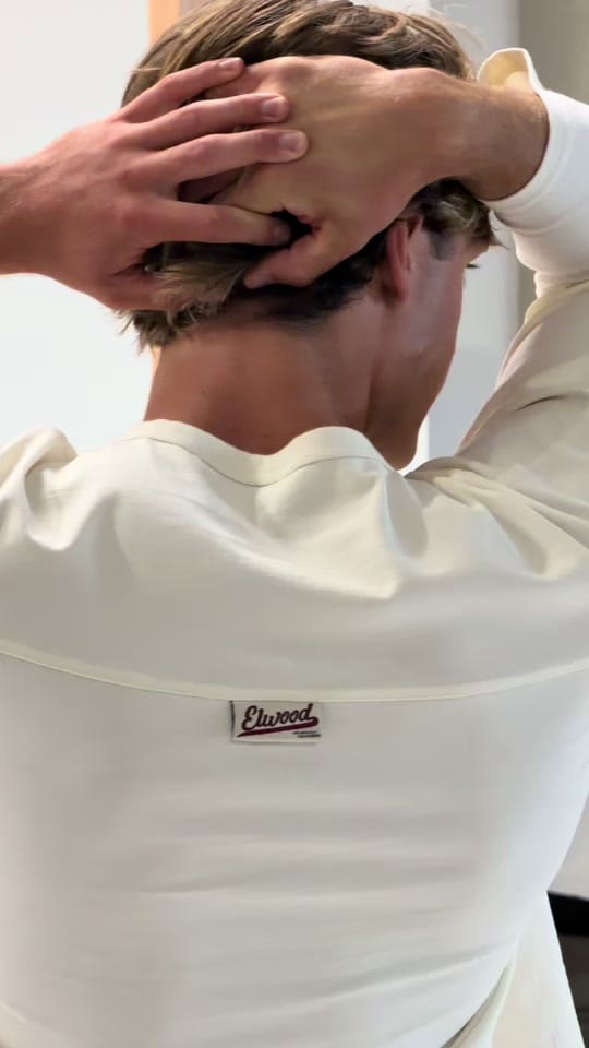 Post 5 by Elwood on TikTok (video)