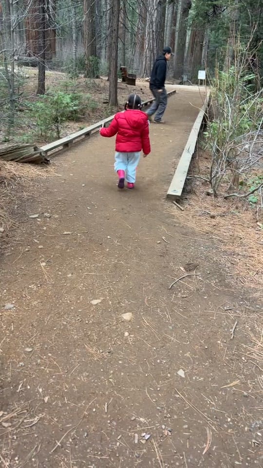 Post 3 by winter1976 on TikTok (video)