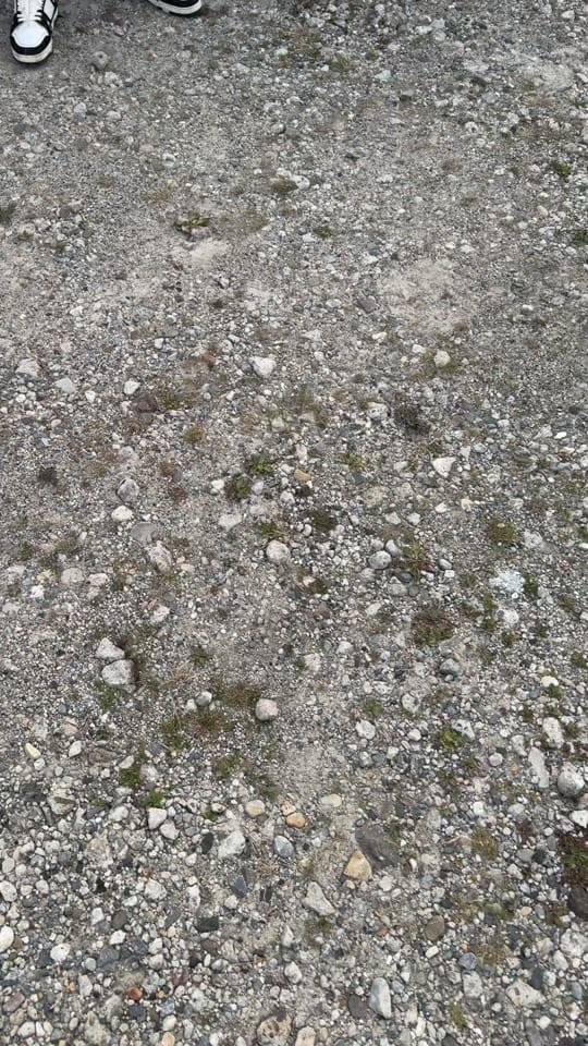 Post 5 by nyon.offiziell on TikTok (video)