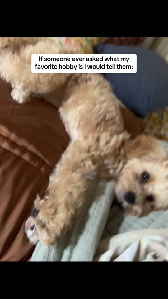 Post 5 by ariane.datil on TikTok (video)