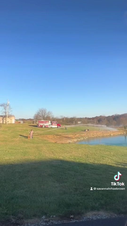 Post 7 by Sav | girlmom | embroidery on TikTok (video)