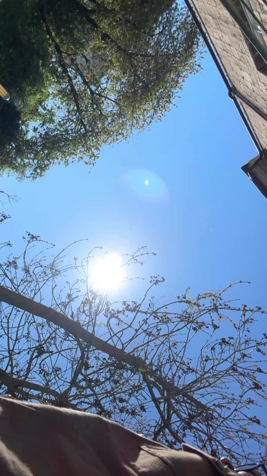 Post 2 by Meno on TikTok (video)