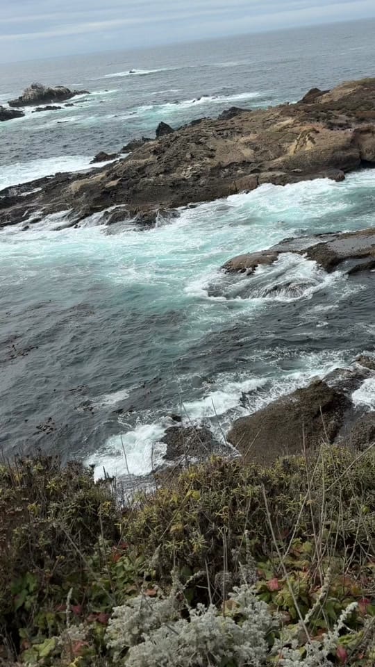 Post 2 by jprensena on TikTok (video)
