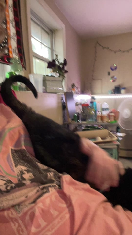 Post 10 by wensday on TikTok (video)