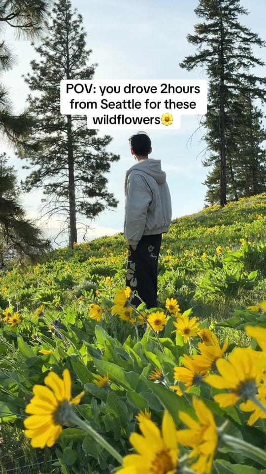 Post 7 by 206bros | Seattle on TikTok (video)