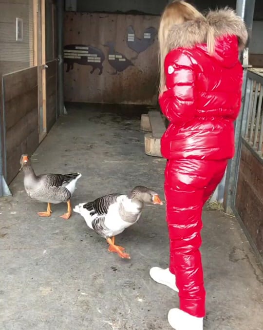 Post 10 by Monclergirl👩🏻‍❤️‍💋‍👩🏻 on TikTok (video)