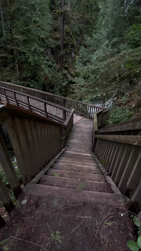 Post 9 by PIGSQUEALMOTHERNATURE on TikTok (video)