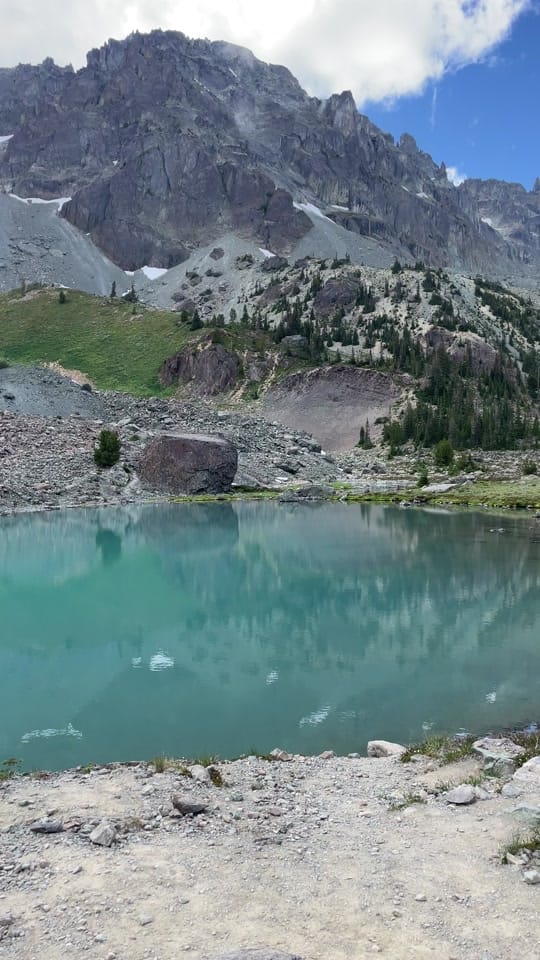 Post 7 by PIGSQUEALMOTHERNATURE on TikTok (video)