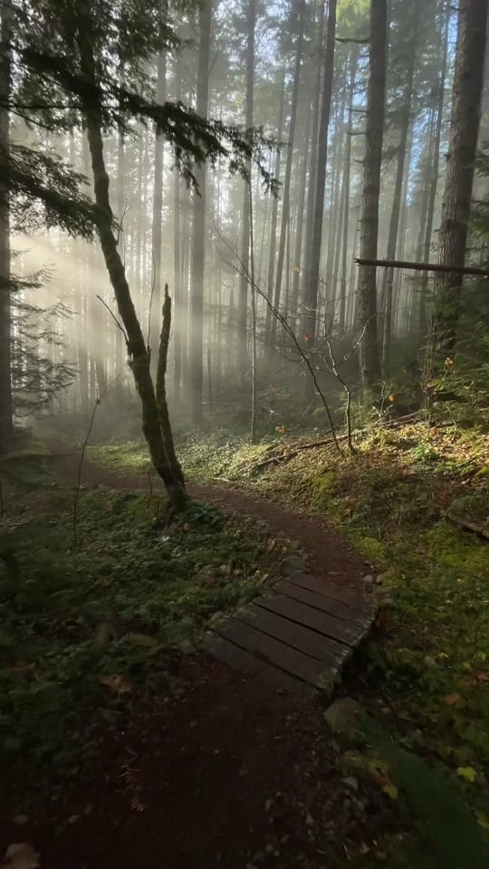 Post 4 by PIGSQUEALMOTHERNATURE on TikTok (video)