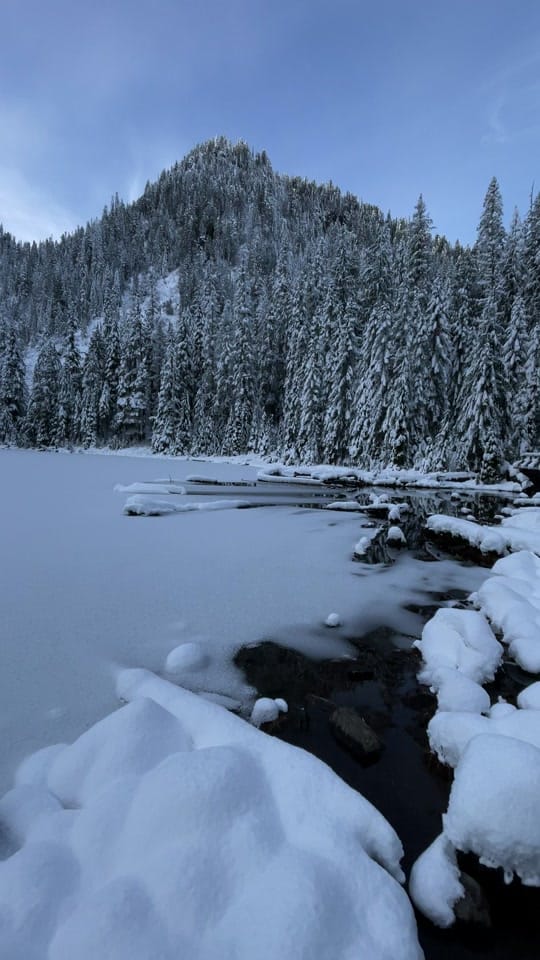 Post 6 by PIGSQUEALMOTHERNATURE on TikTok (video)