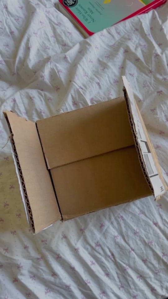 Post 6 by lexie on TikTok (video)