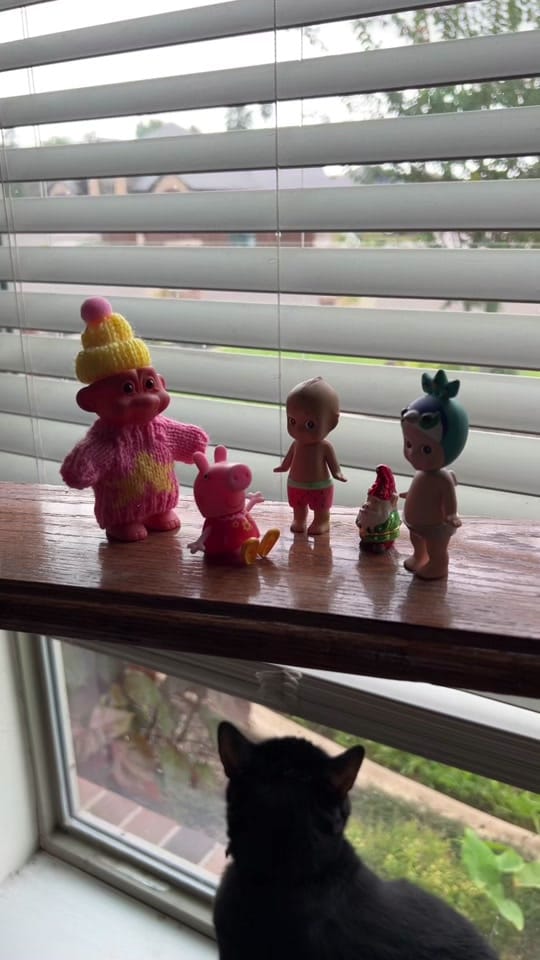 Post 4 by lexie on TikTok (video)