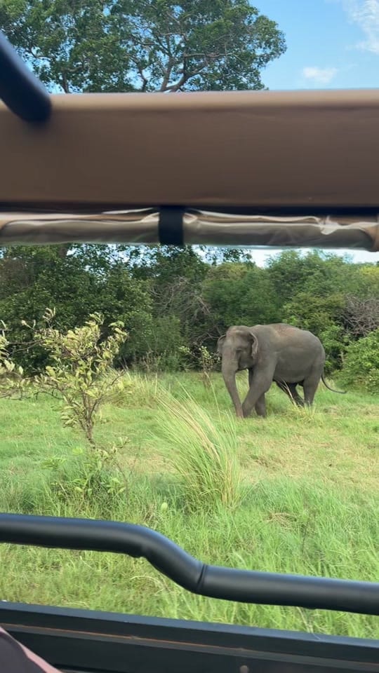 Post 6 by YAZ on TikTok (video)