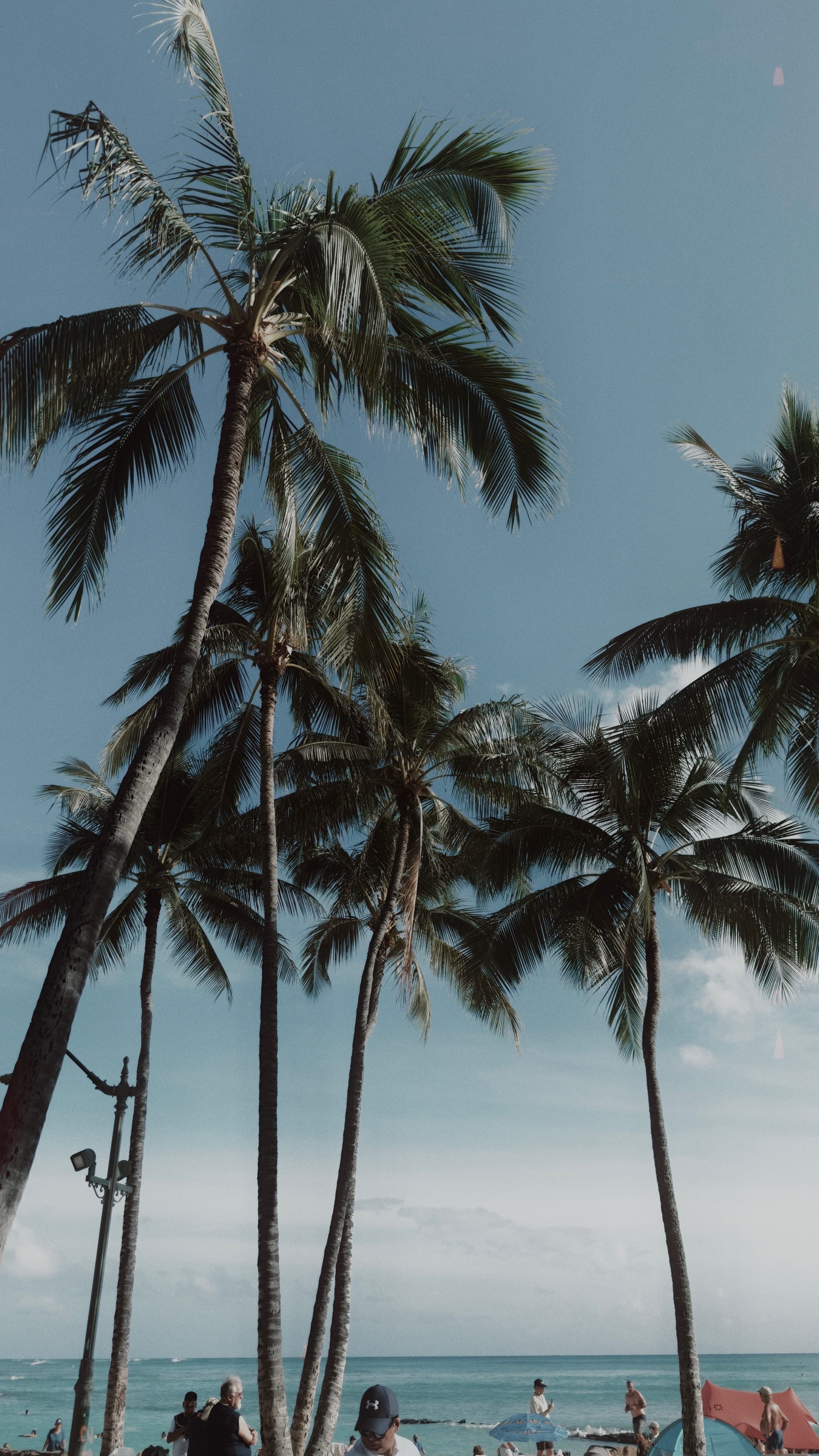 Post 8 by brinda patel⭐️ on TikTok (video)