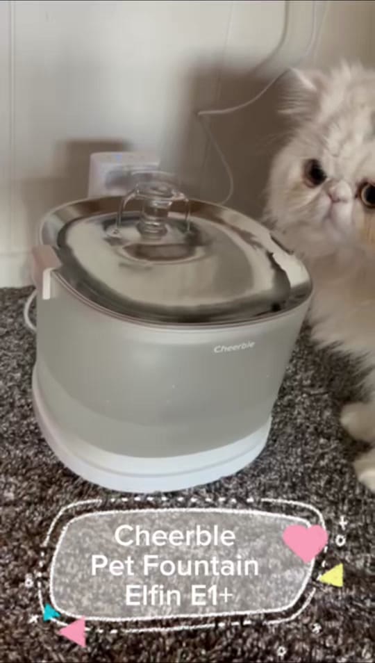 Post 1 by WondersOfElif on TikTok (video)