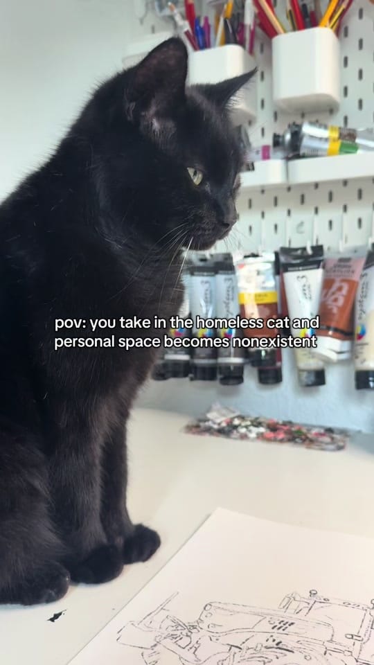 Post 5 by Clair | Pet Portrait Artist on TikTok (video)