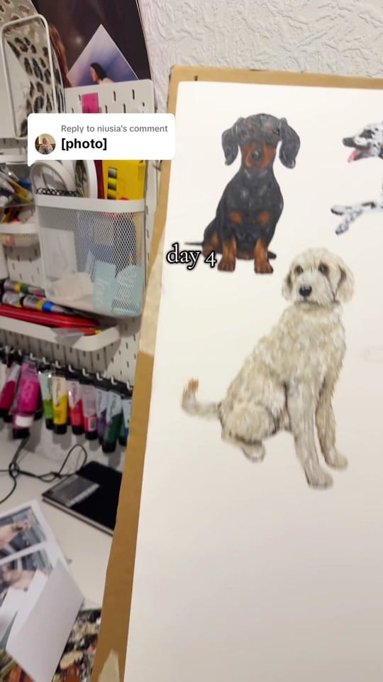 Post 9 by Clair | Pet Portrait Artist on TikTok (video)