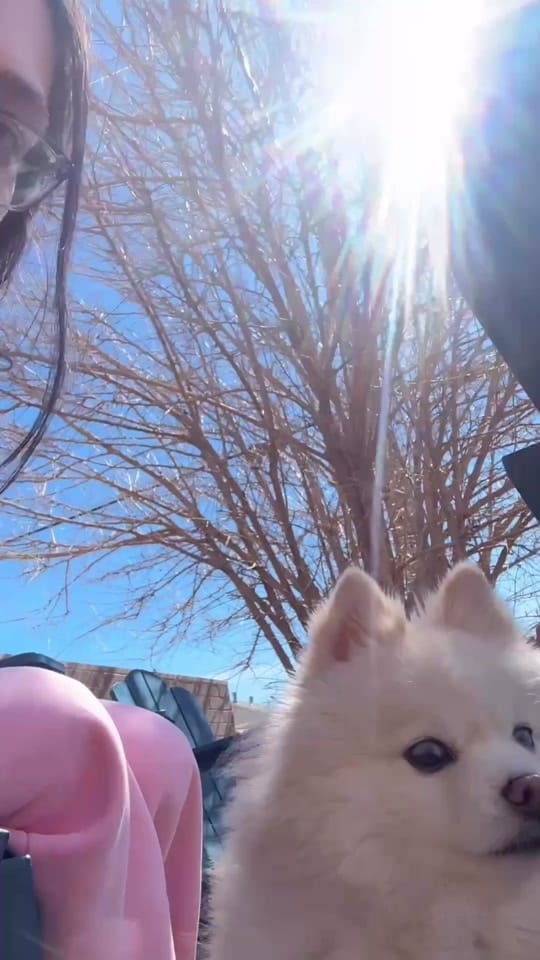 Post 9 by ashleywxlfe on TikTok (video)