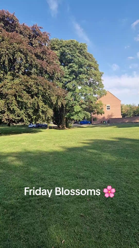 Post 8 by BlossomsUK on TikTok (video)