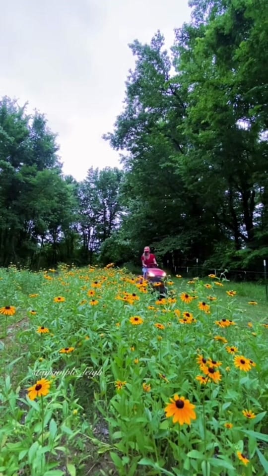 Post 9 by Leigh on TikTok (video)