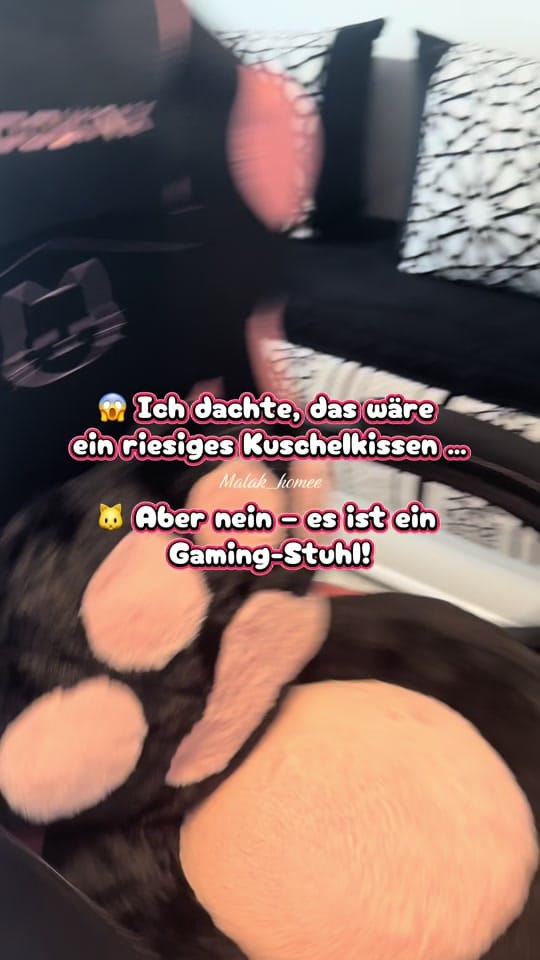 Post 8 by Malak_homee on TikTok (video)