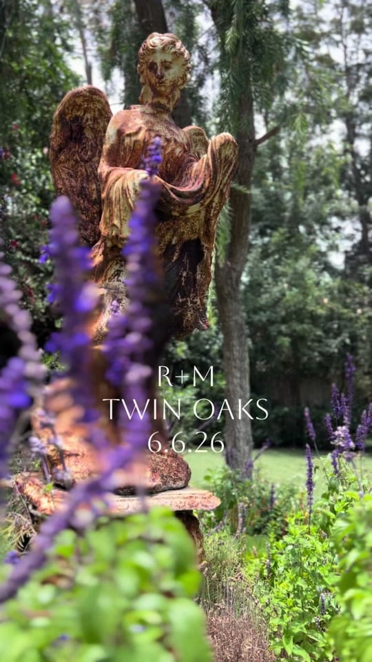 Post 7 by astrayphoto on TikTok (video)