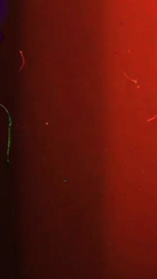 Post 6 by Mister P. on TikTok (video)