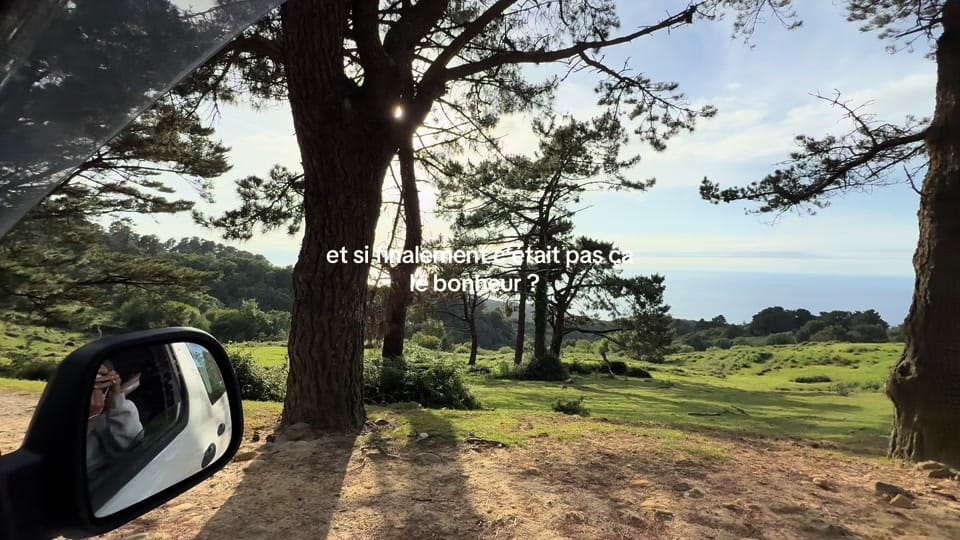 Post 5 by florecita.hsl on TikTok (video)
