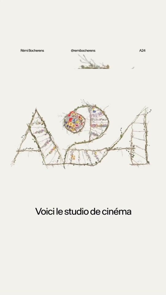Post 4 by Rémi Bocherens on TikTok (video)