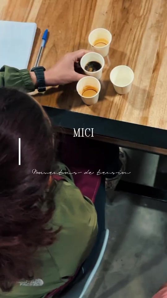 Post 3 by MI Coffee Institute on TikTok (video)