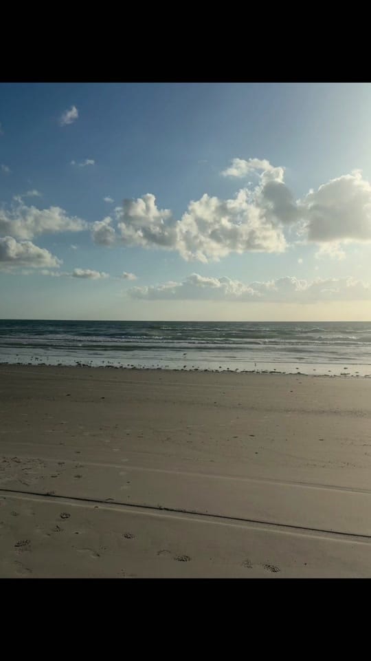 Post 3 by shopkiyanaboutique on TikTok (video)