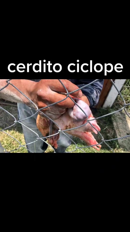 Post 10 by Pedro Ivan Godinez C on TikTok (video)