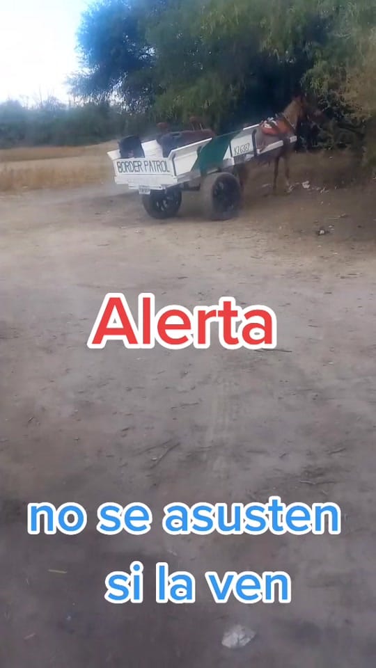 Post 8 by Pedro Ivan Godinez C on TikTok (video)