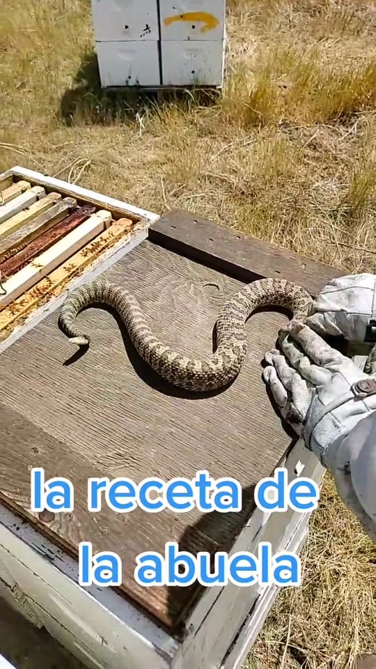 Post 9 by Pedro Ivan Godinez C on TikTok (video)