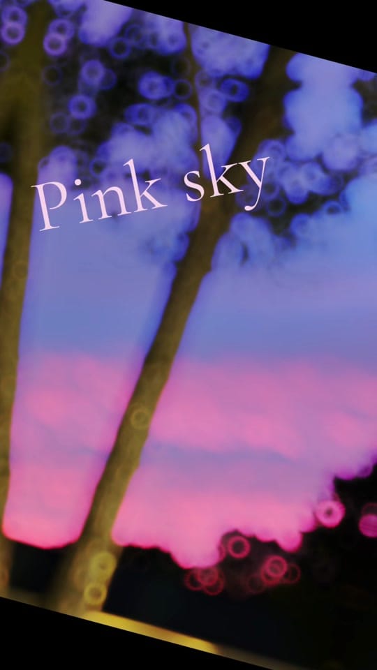 Post 5 by Venetia on TikTok (video)