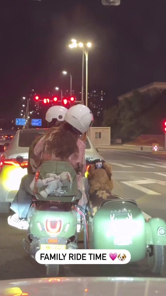 Post 3 by Tail Vibes on TikTok (video)